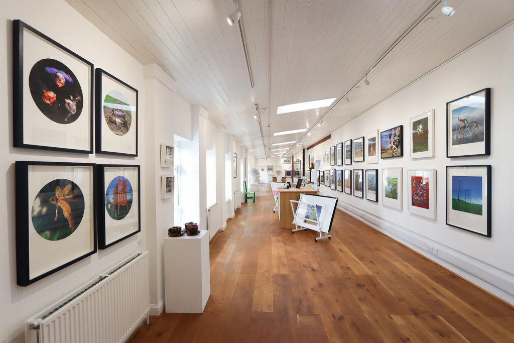 Welcome to Our Store